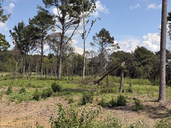 Lot 37 County Road 158, Centre, AL 35960