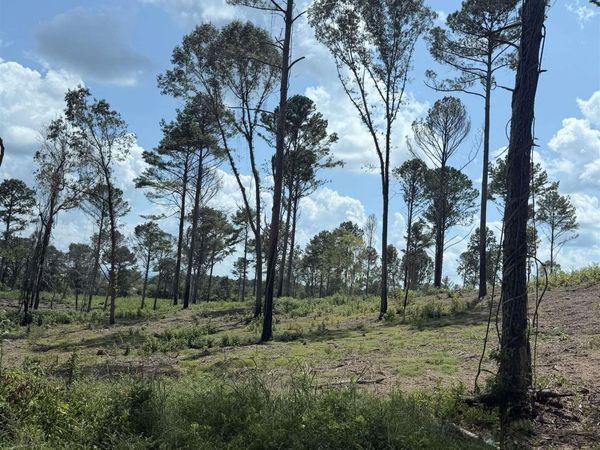 Lot 35 County Road 158, Centre, AL 35960