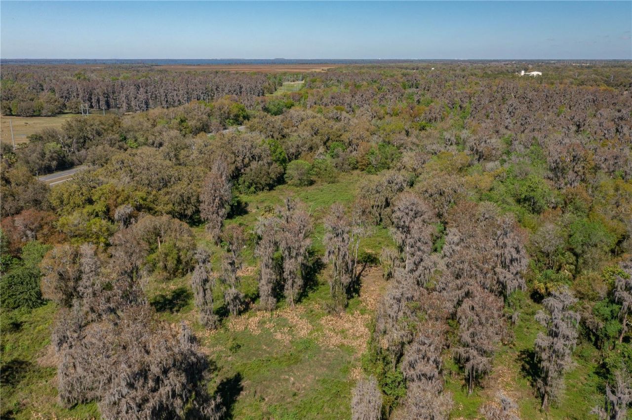 1800 Us Highway 17 N, Bartow, FL 33830 Photo