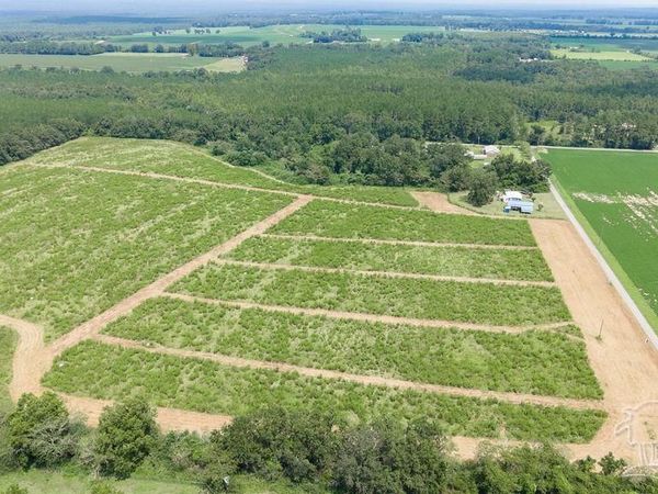 Lot 1 Whistler Ln, Jay, FL 32565