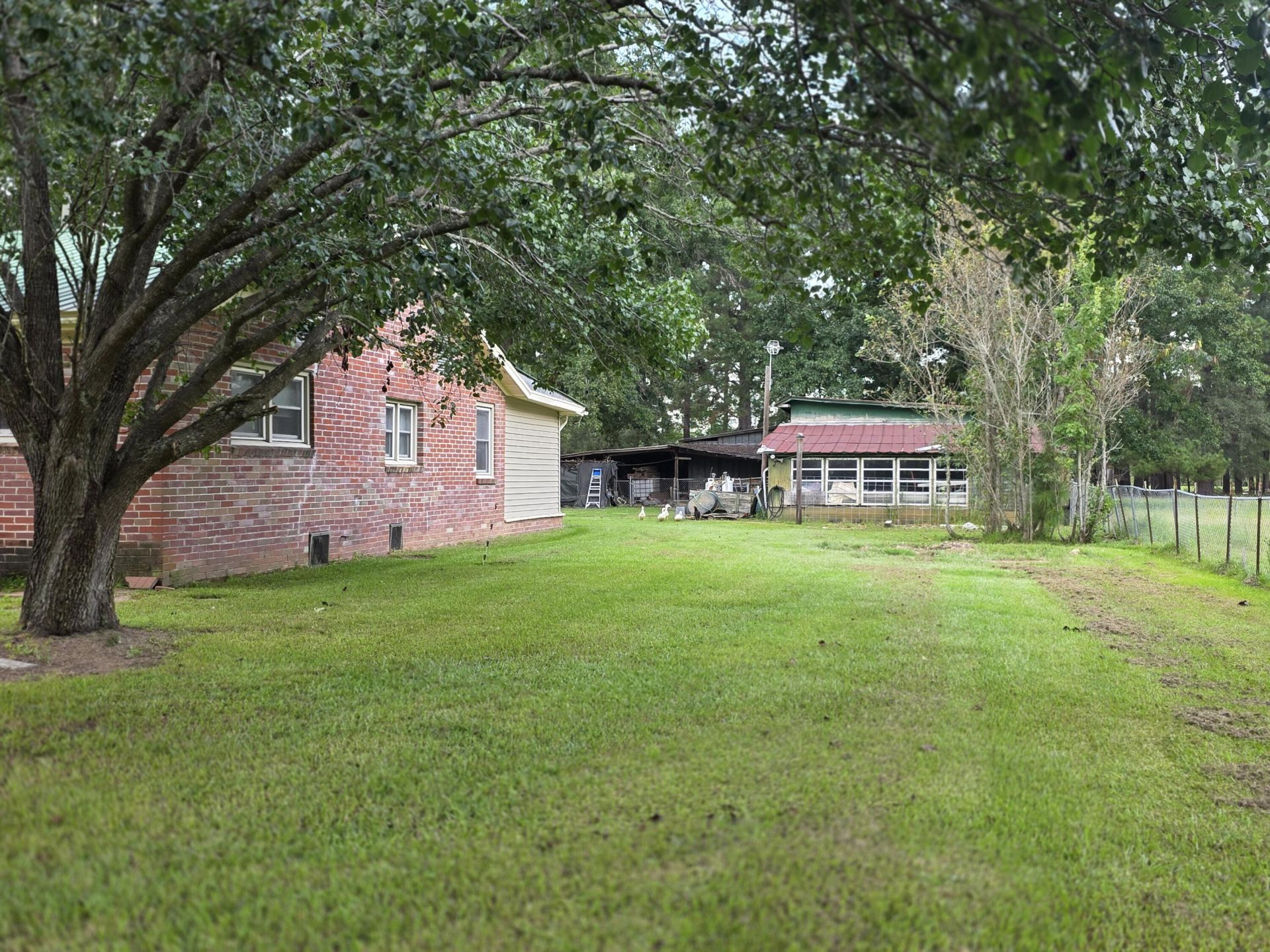 373 Cheyenne Road Photo 4