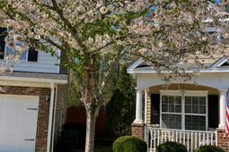 144 Cambridge Hill Drive photo 4