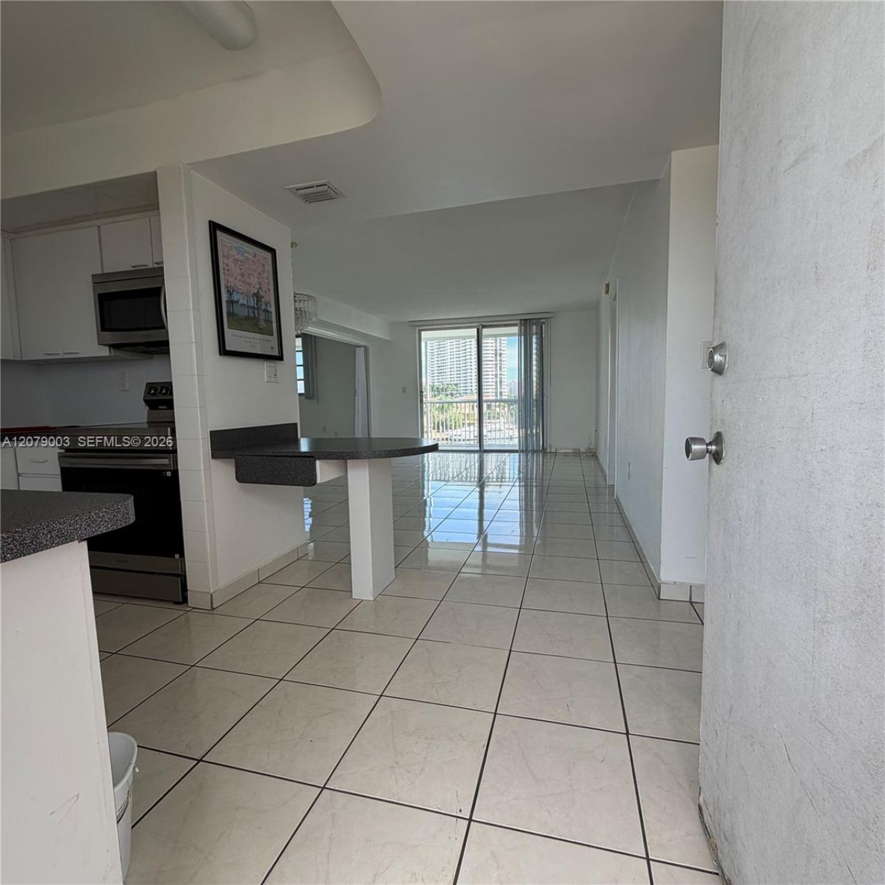 2980 E Point East Dr, Unit D608, Aventura, FL 33160 Photo