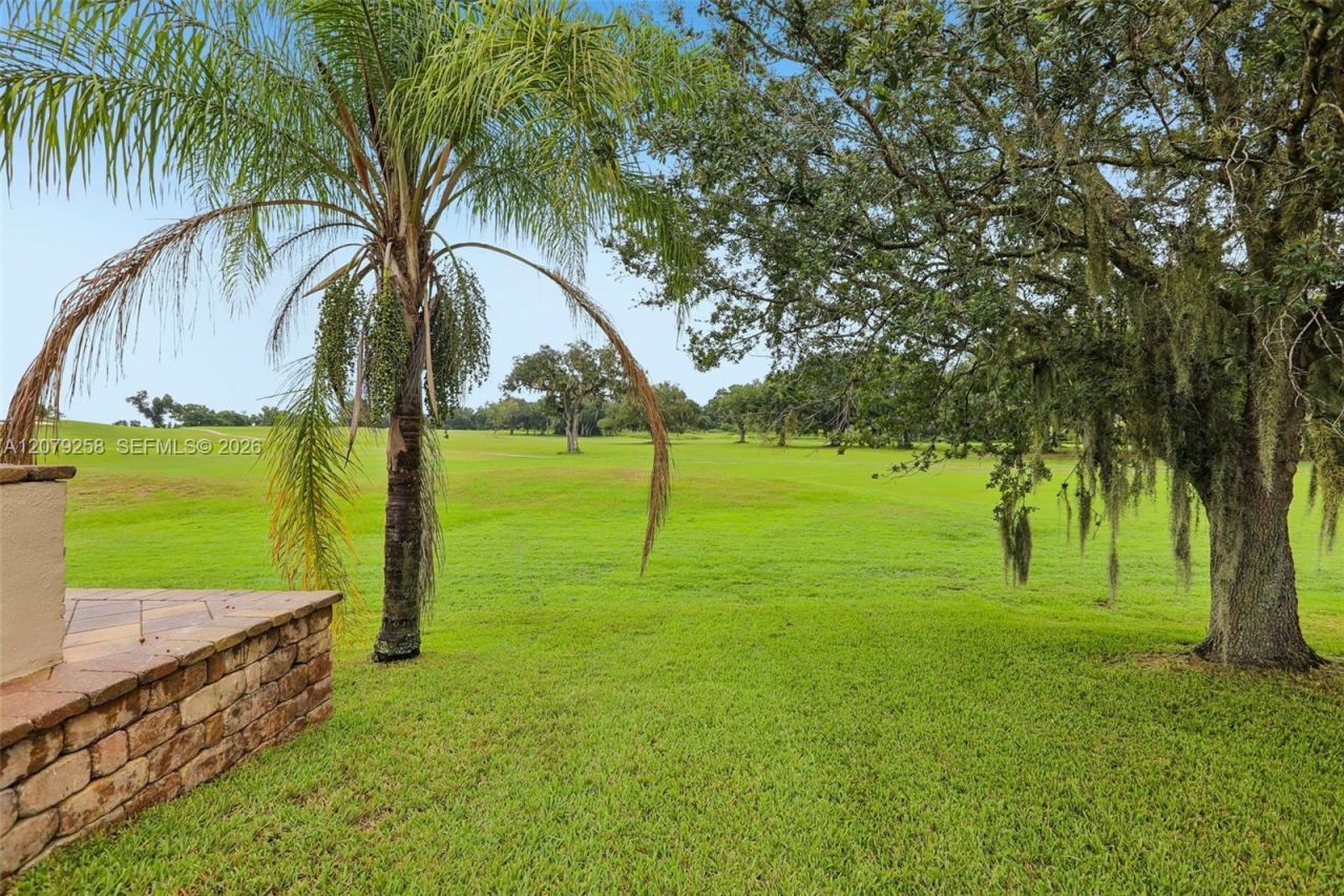 1413 Brilliant Cut Way, Brandon, FL 33594 Photo
