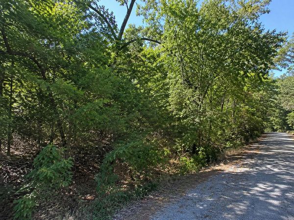 000 Lots 56-57 Song Bird , Golden, MO 65658