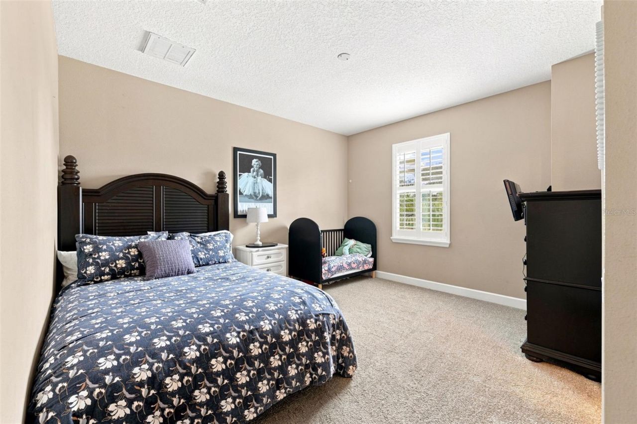12754 Seronera Valley Court , Spring Hill, FL 34610 Photo