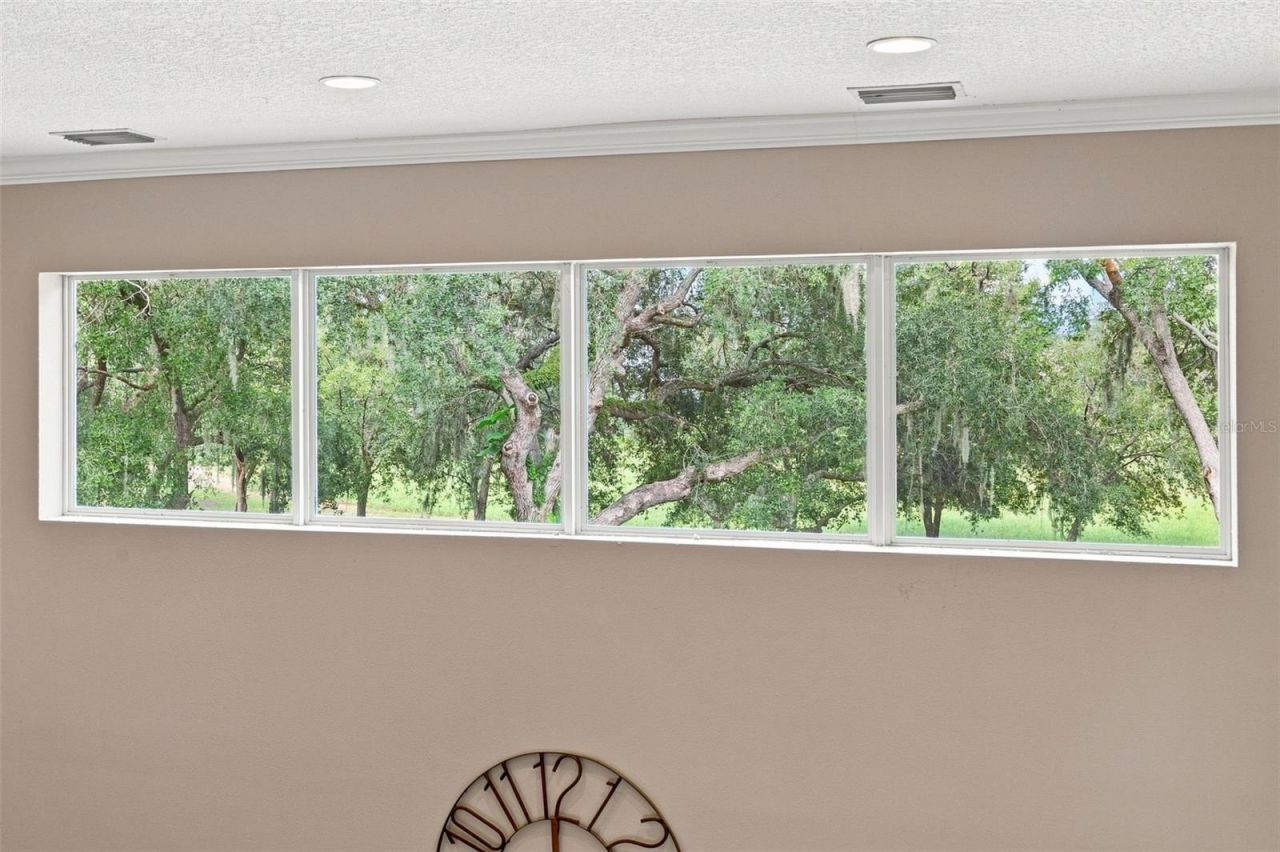 12754 Seronera Valley Court , Spring Hill, FL 34610 Photo