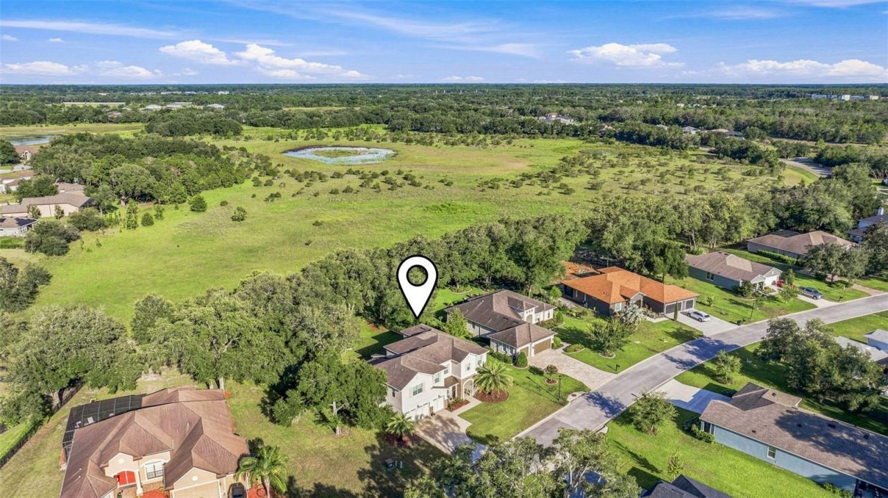 12754 Seronera Valley Court , Spring Hill, FL 34610 Photo
