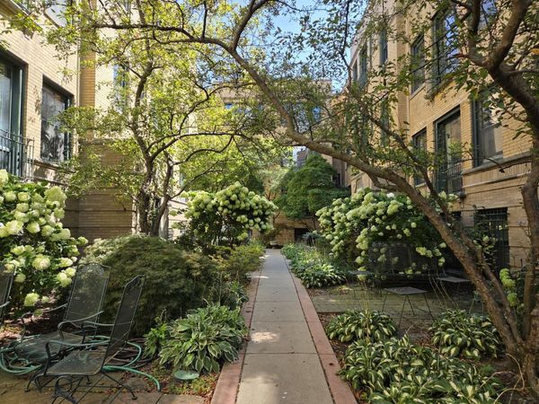 7031.5 N Sheridan Road, Unit 2N, Chicago, IL 60626
