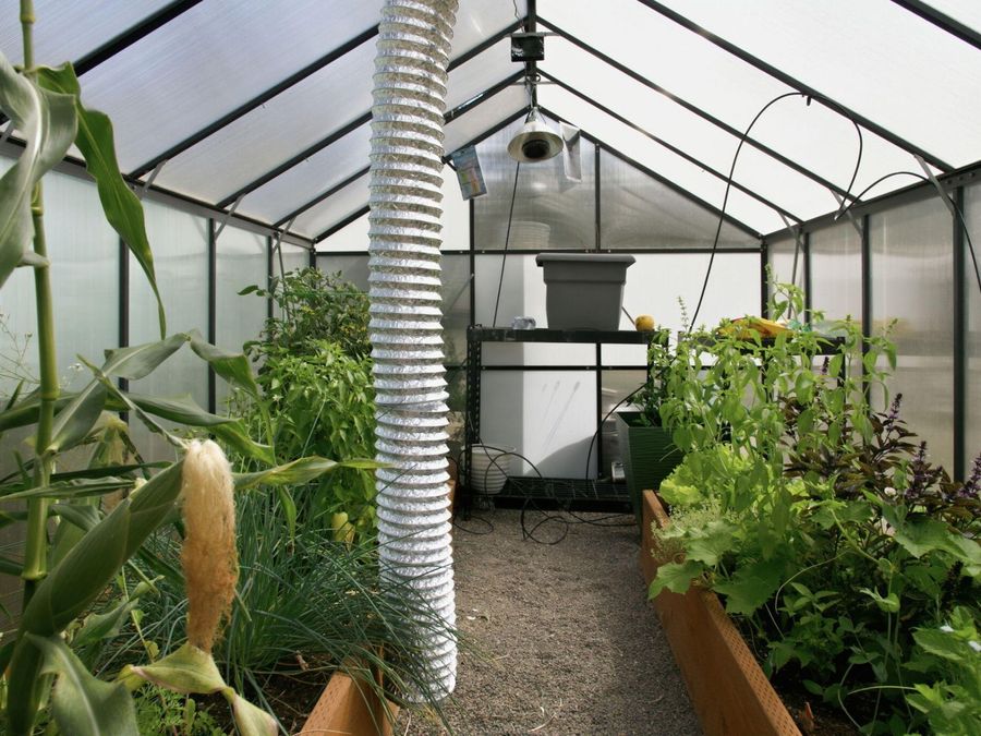 Property Image 25