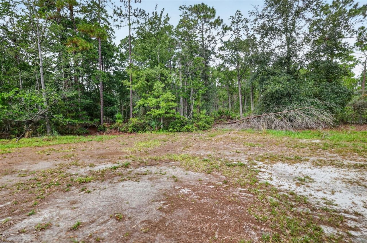 24939 Old Deer Road, Paisley, FL 32767 Photo