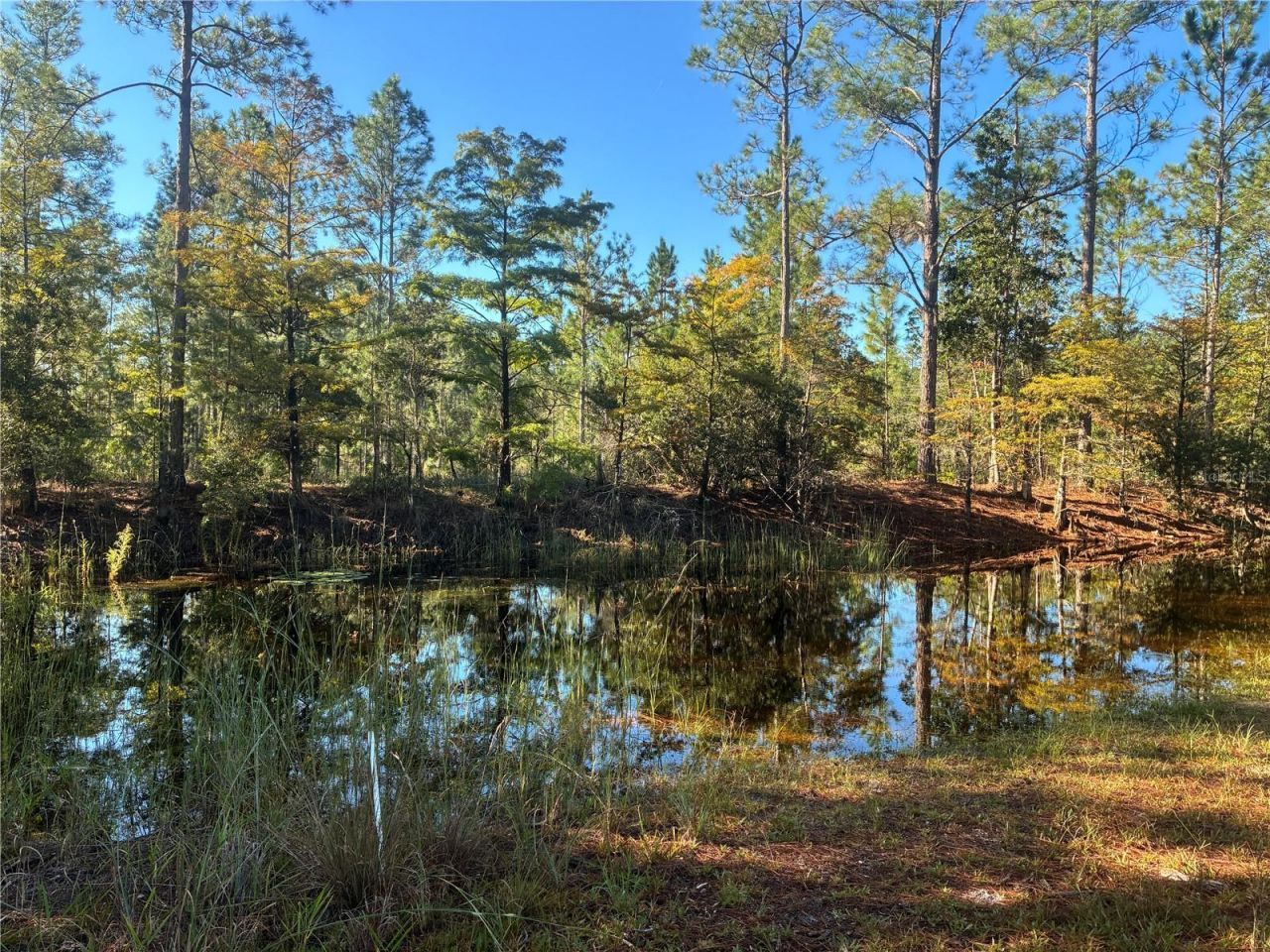 24939 Old Deer Road, Paisley, FL 32767 Photo