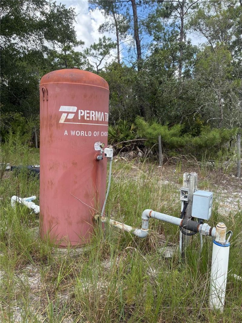 24939 Old Deer Road, Paisley, FL 32767 Photo