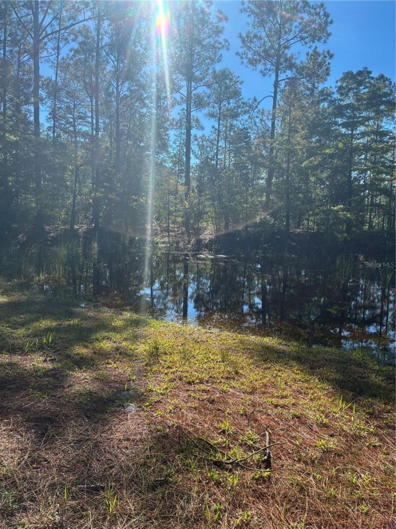 24939 Old Deer Road, Paisley, FL 32767 Photo