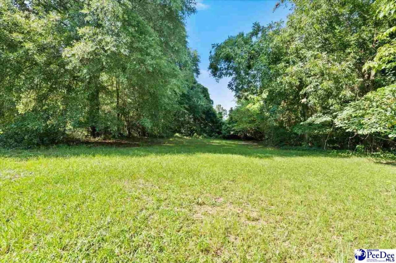 1311 Old Mars Bluff Rd Photo 23