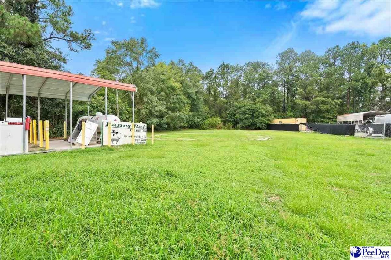 1627 Highway 301 N Photo 21