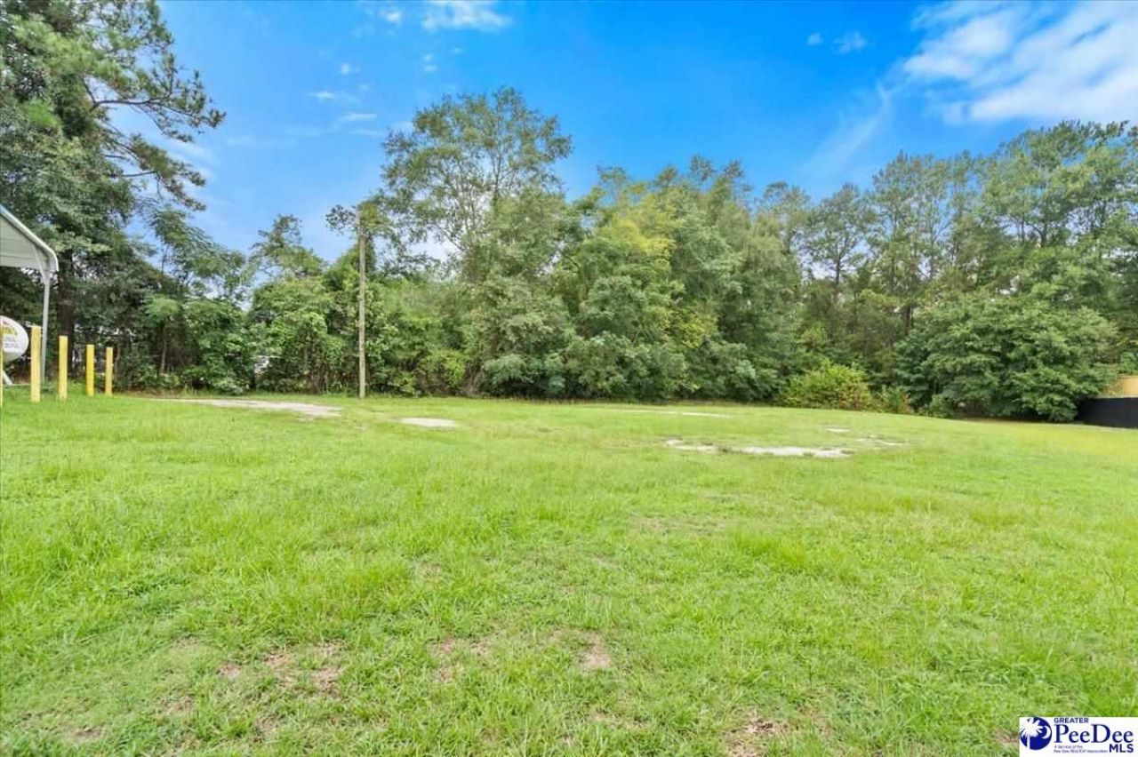 1627 Highway 301 N Photo 23