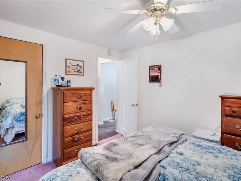 2644 Scheetz Street, Youngstown, OH 44509 Photo 17