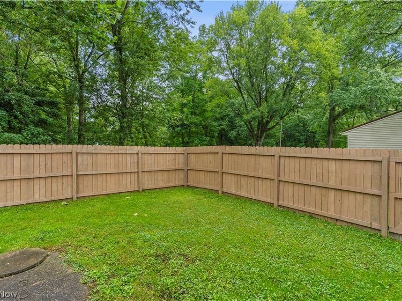 3428 Meadowbrook Drive, Leavittsburg, OH 44430 Photo 21