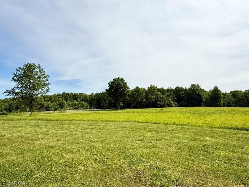439 State Route 58, Sullivan, OH 44880 Photo 38