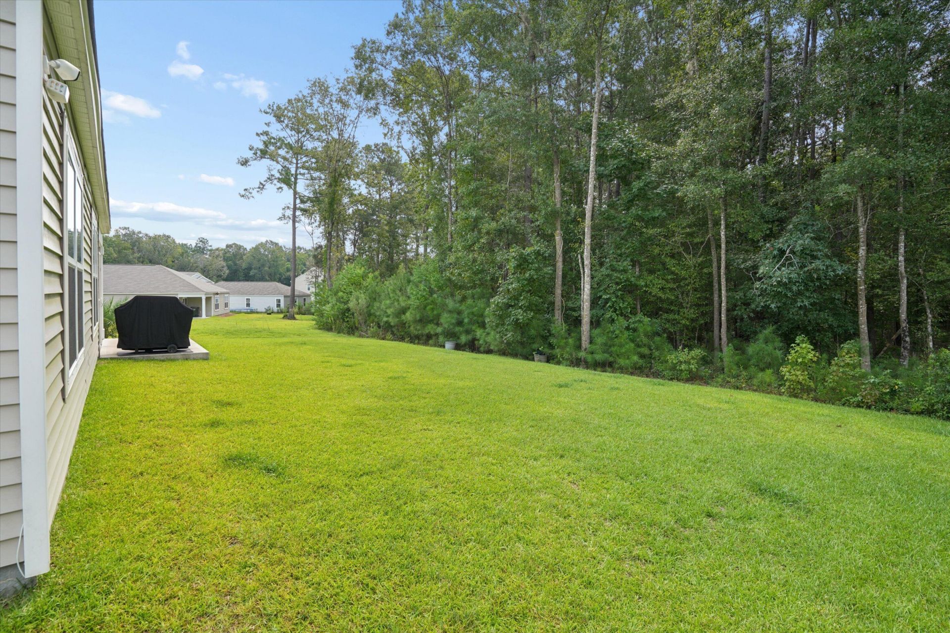 385 Spruce Ivy Street Photo 16