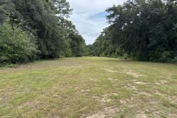 2585 Clements Ferry Road  photo 4