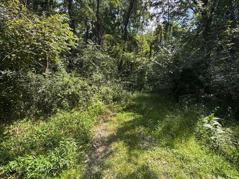4820 N State Route 61, Sunbury, OH 43074 Photo 6