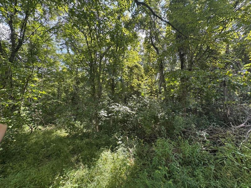 4820 N State Route 61, Sunbury, OH 43074 Photo 7