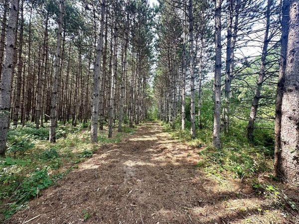 N9679 630th Street, Colfax, WI 54730