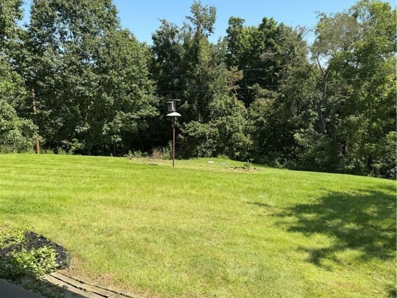 45378 State Route 800 Road, Woodsfield, OH 43793 Photo 8