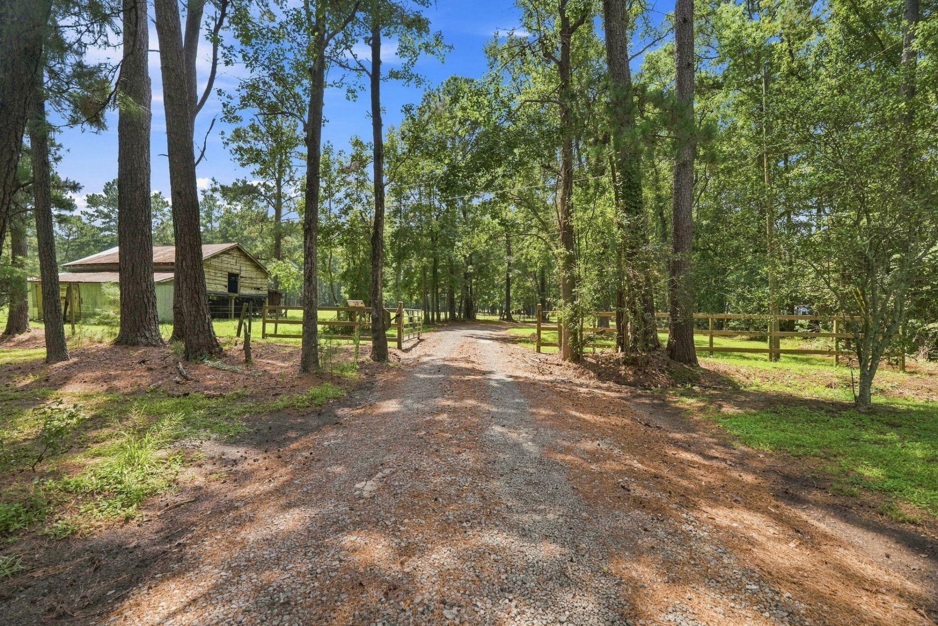 136 Gailynn Lane Photo 71