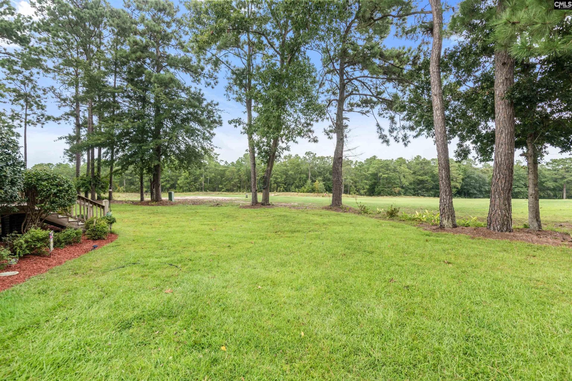 521 Patterdale Lane  Photo 59