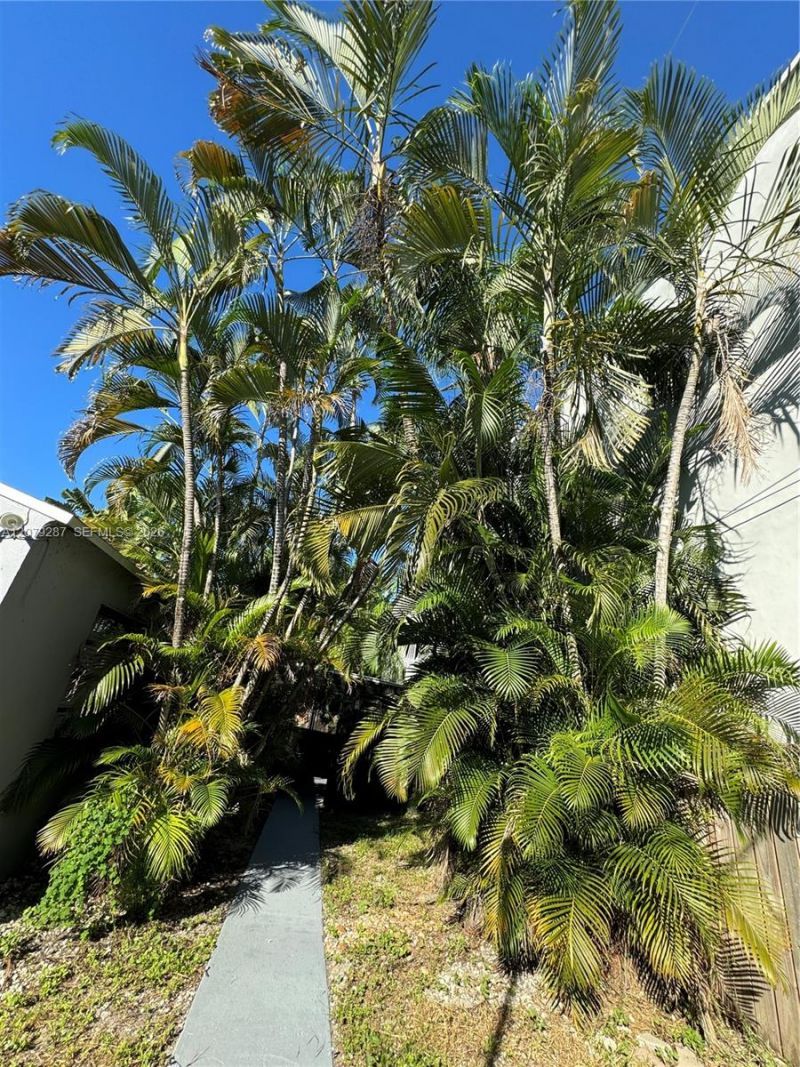 2105 Monroe Ter, Unit 1, Hollywood, FL 33020 Photo