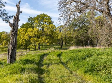 4042 Wilson Town Rd, Lincoln, CA 95648 Photo