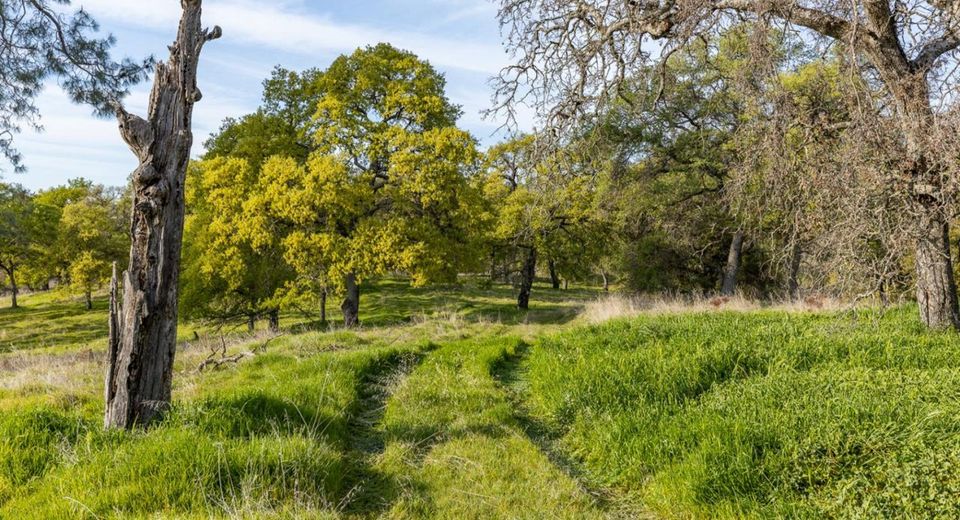 4042 Wilson Town Rd, Lincoln, CA 95648 Photo