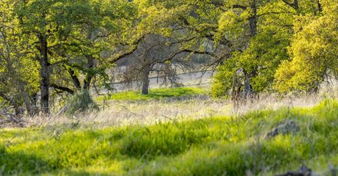 4042 Wilson Town Rd, Lincoln, CA 95648 Photo