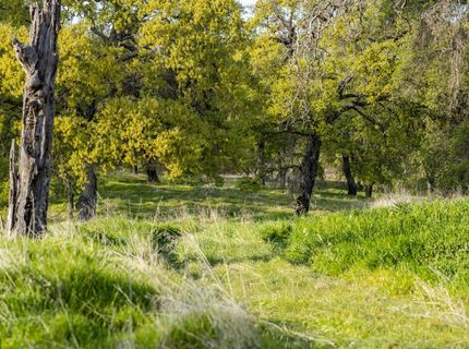4042 Wilson Town Rd, Lincoln, CA 95648 Photo