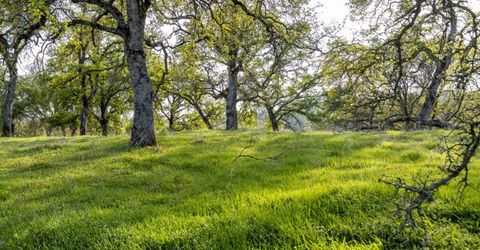 4042 Wilson Town Rd, Lincoln, CA 95648 Photo