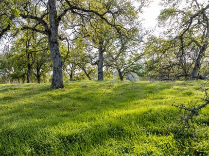4042 Wilson Town Rd, Lincoln, CA 95648 Photo