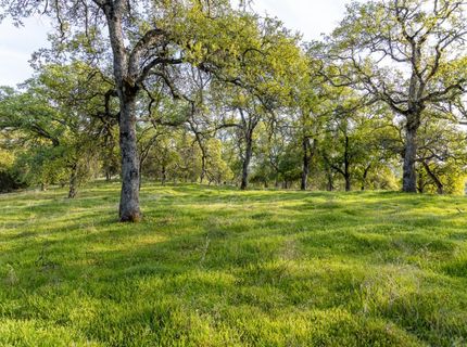 4042 Wilson Town Rd, Lincoln, CA 95648 Photo