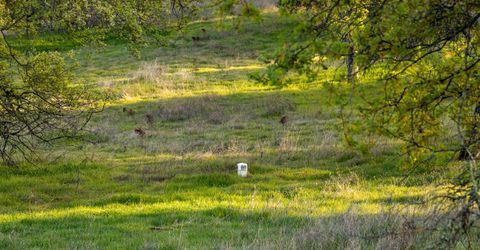 4042 Wilson Town Rd, Lincoln, CA 95648 Photo