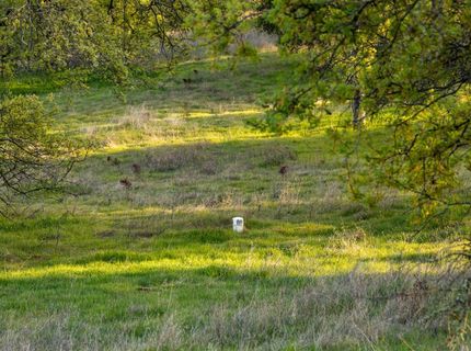 4042 Wilson Town Rd, Lincoln, CA 95648 Photo