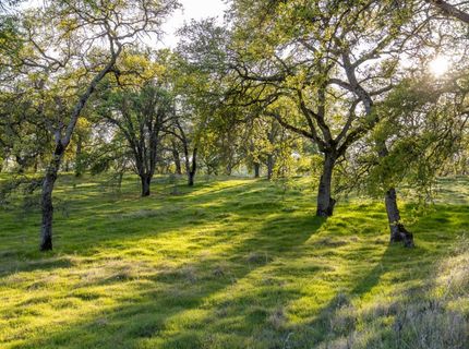 4042 Wilson Town Rd, Lincoln, CA 95648 Photo