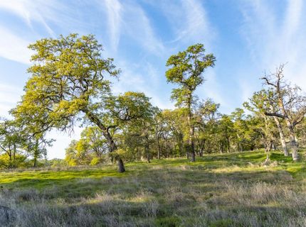 4042 Wilson Town Rd, Lincoln, CA 95648 Photo