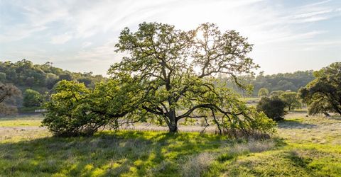 4042 Wilson Town Rd, Lincoln, CA 95648 Photo
