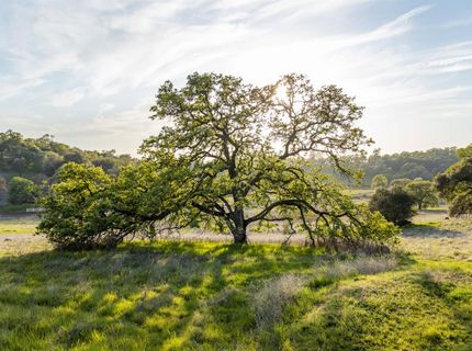4042 Wilson Town Rd, Lincoln, CA 95648 Photo