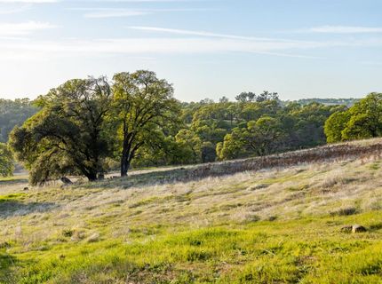 4042 Wilson Town Rd, Lincoln, CA 95648 Photo
