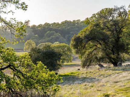 4042 Wilson Town Rd, Lincoln, CA 95648 Photo