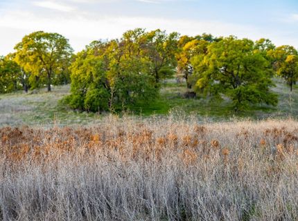 4042 Wilson Town Rd, Lincoln, CA 95648 Photo