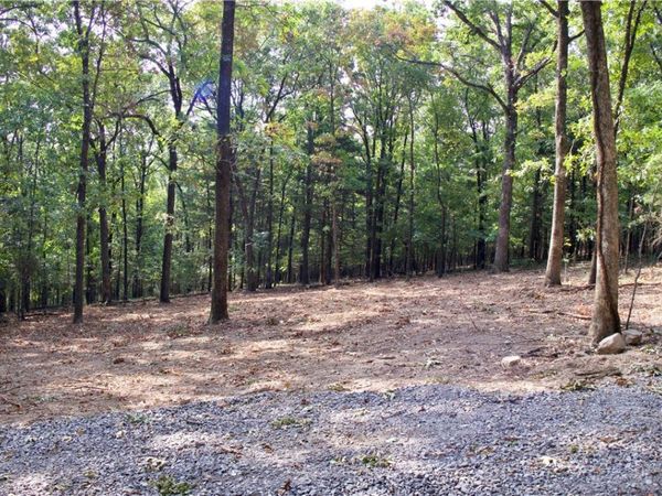 0000 Ozark Point (Tract 1), Rudy, AR 72952